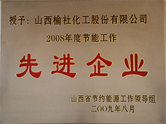 2008節(jié)能工作先進(jìn)企業(yè)